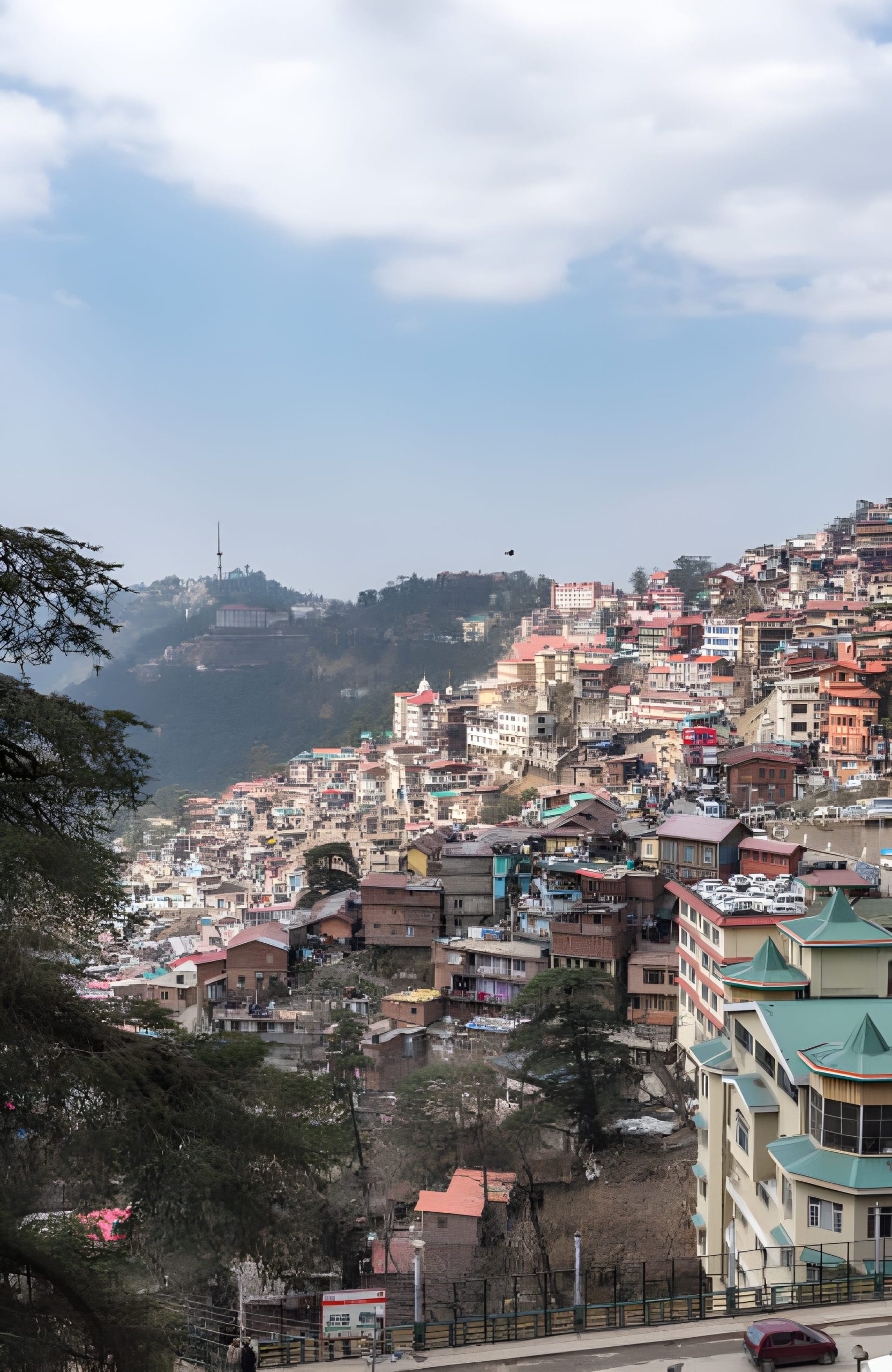 shimla scaled